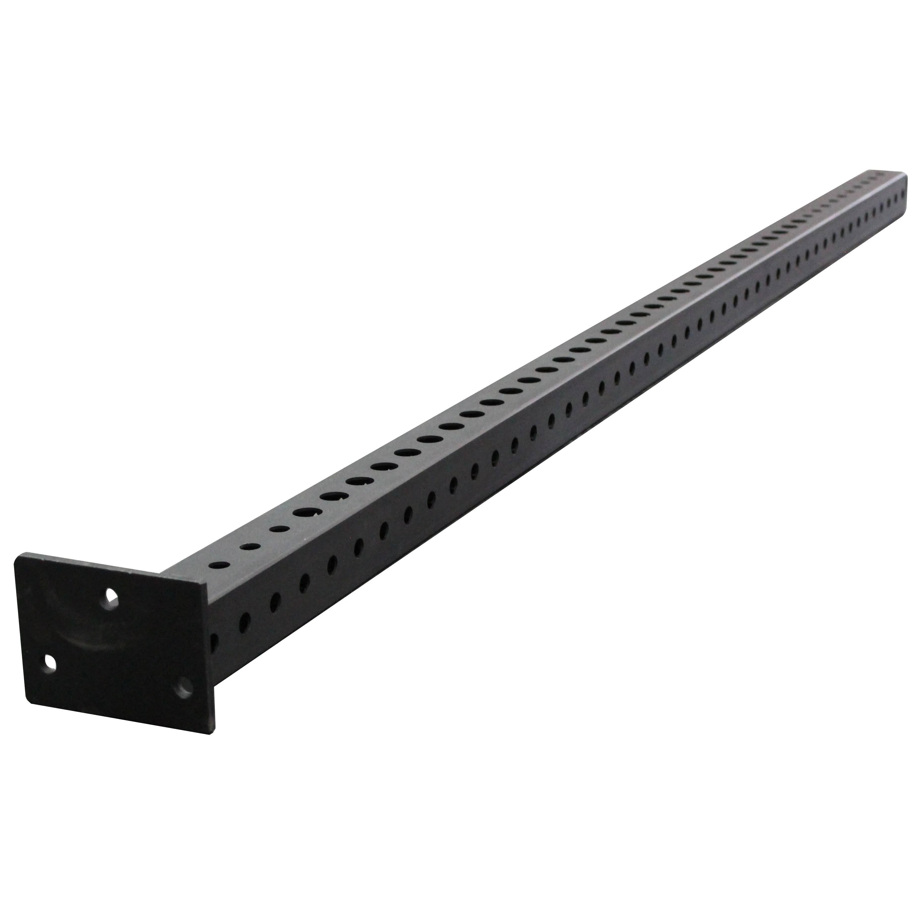 AmStaff Pro Free Standing Rig - 14ft x 4ft