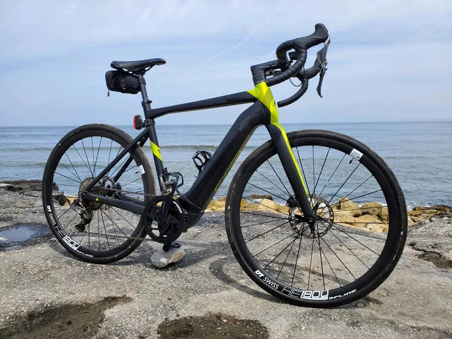 Bulls Desert Falcon Evo S