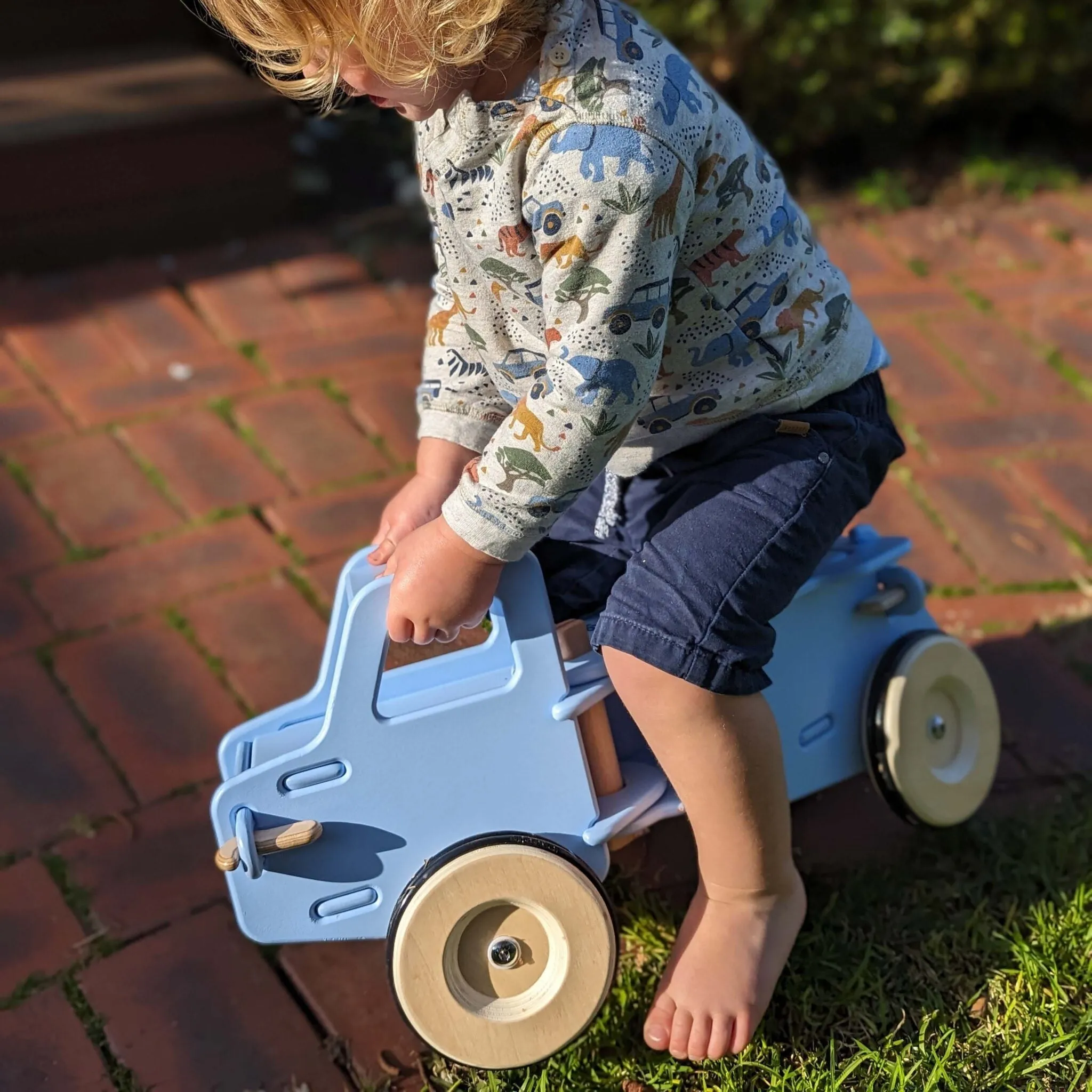 Dump Truck - Blue