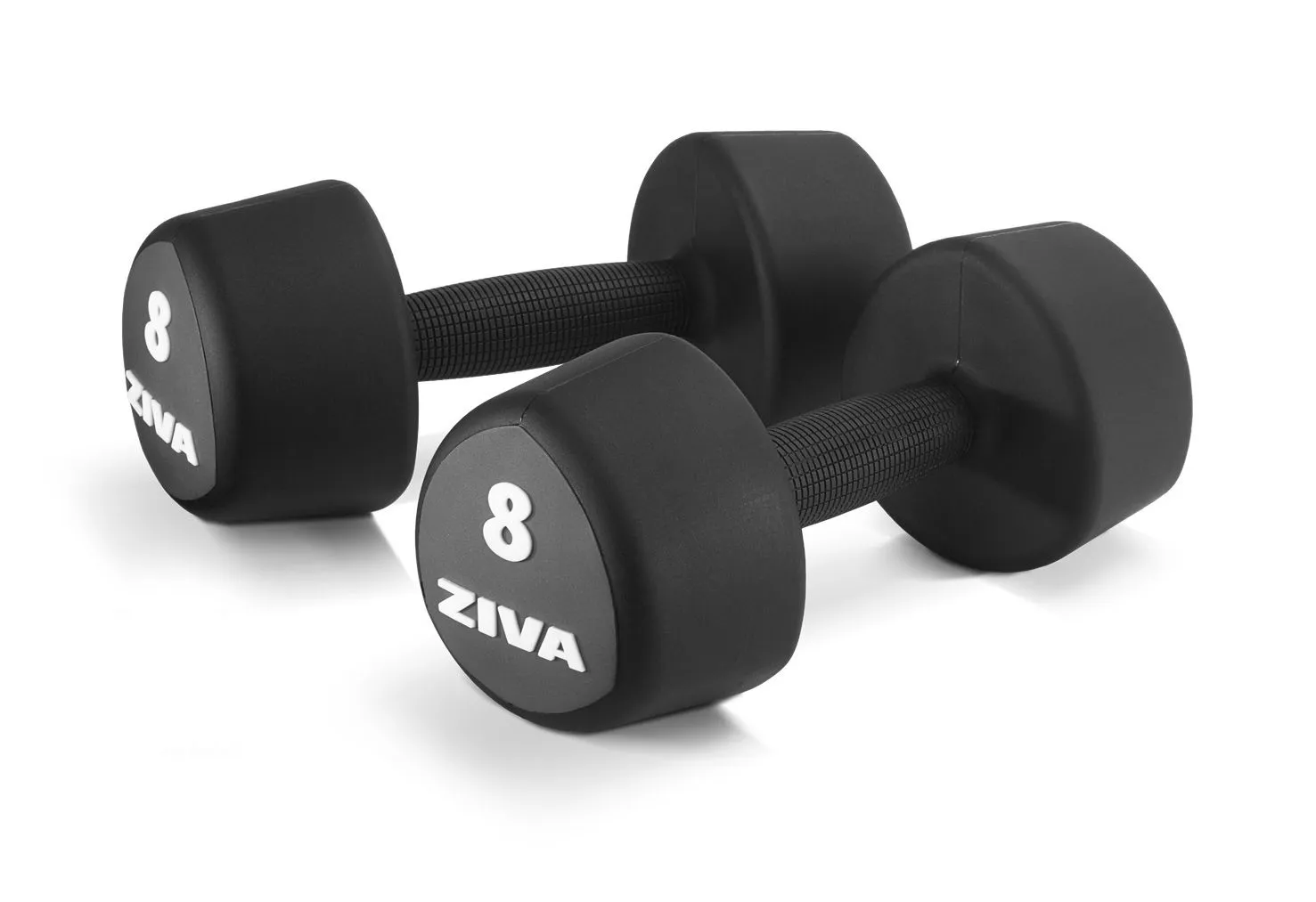 Evo Bench - Various Options Available