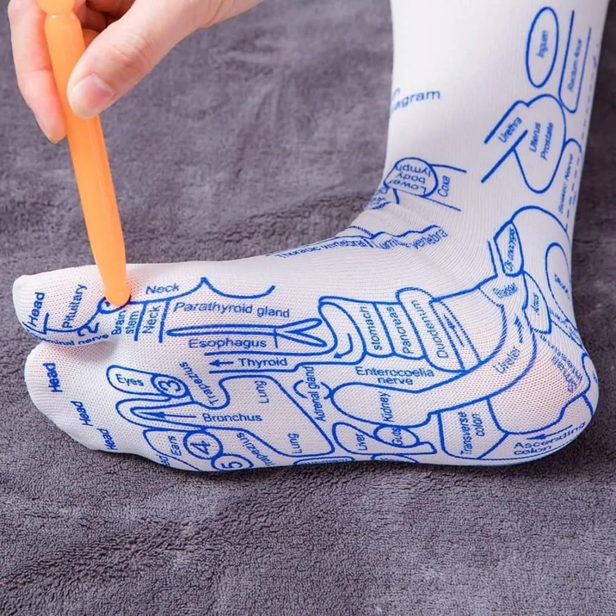 Hot saleReflexology Chart Socks