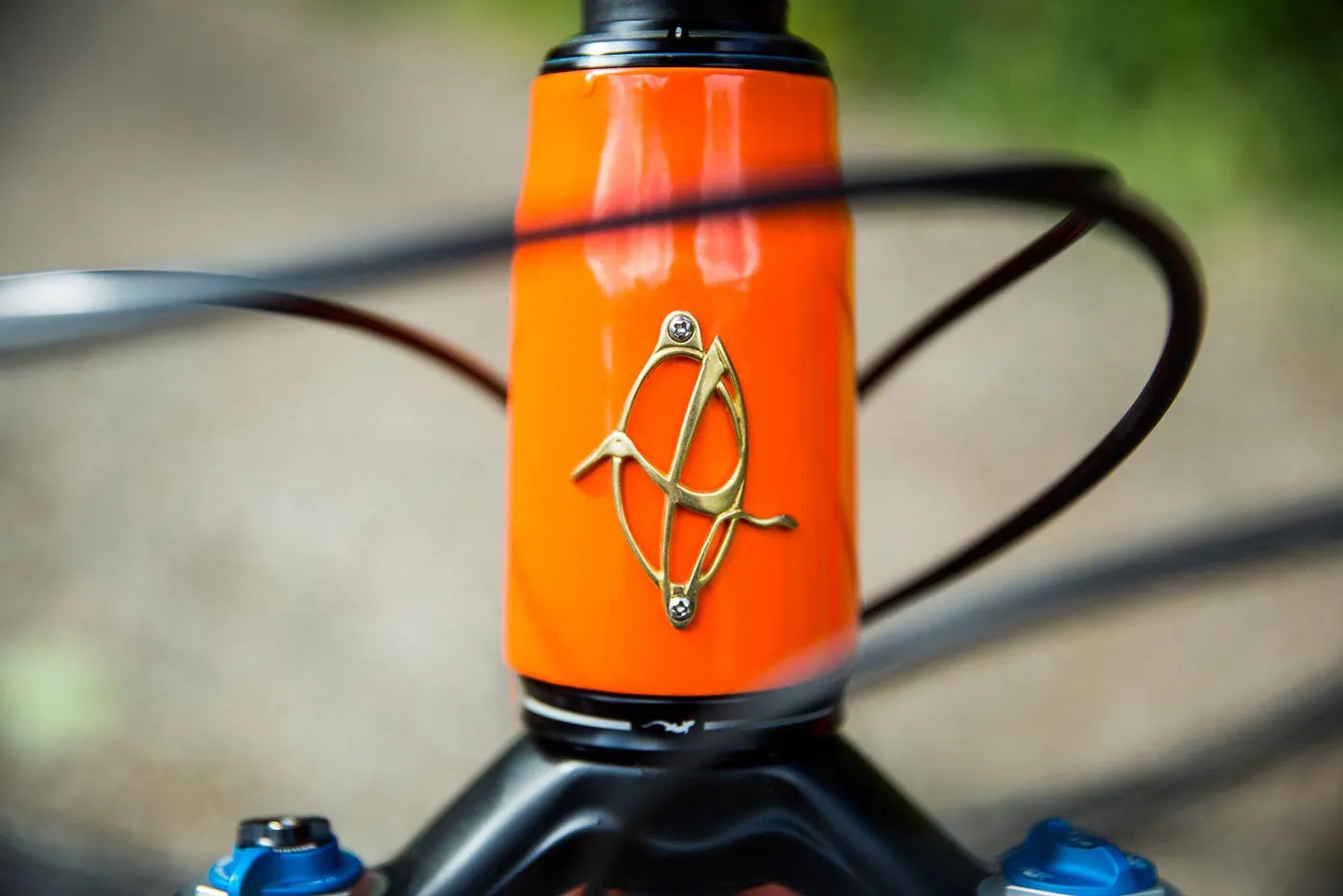 Ibis Ripley LS Special Blend With Fox Transfer Dropper