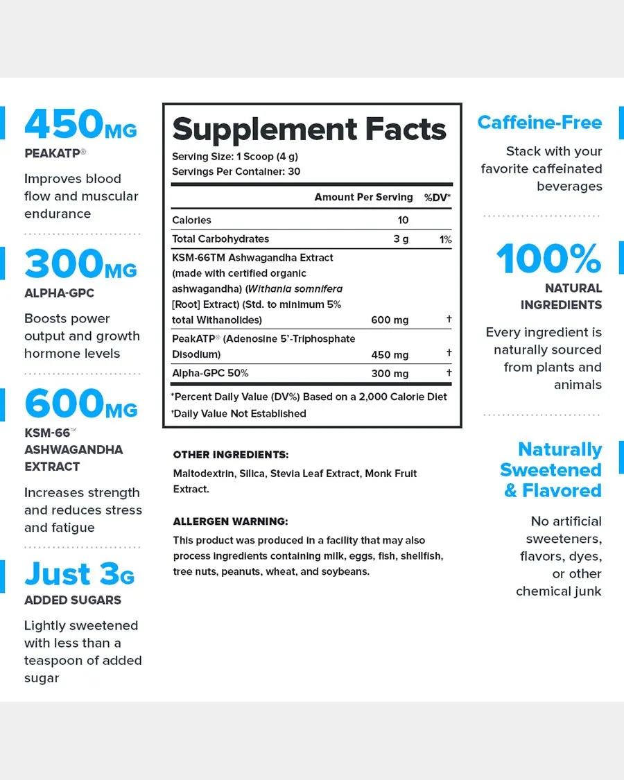 Legion Performance Surge Workout Supplement