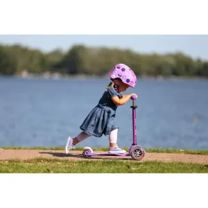 Mini Deluxe Scooter with LED Wheels