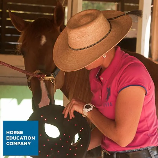 Red Light Therapy Happy Cap for Horses