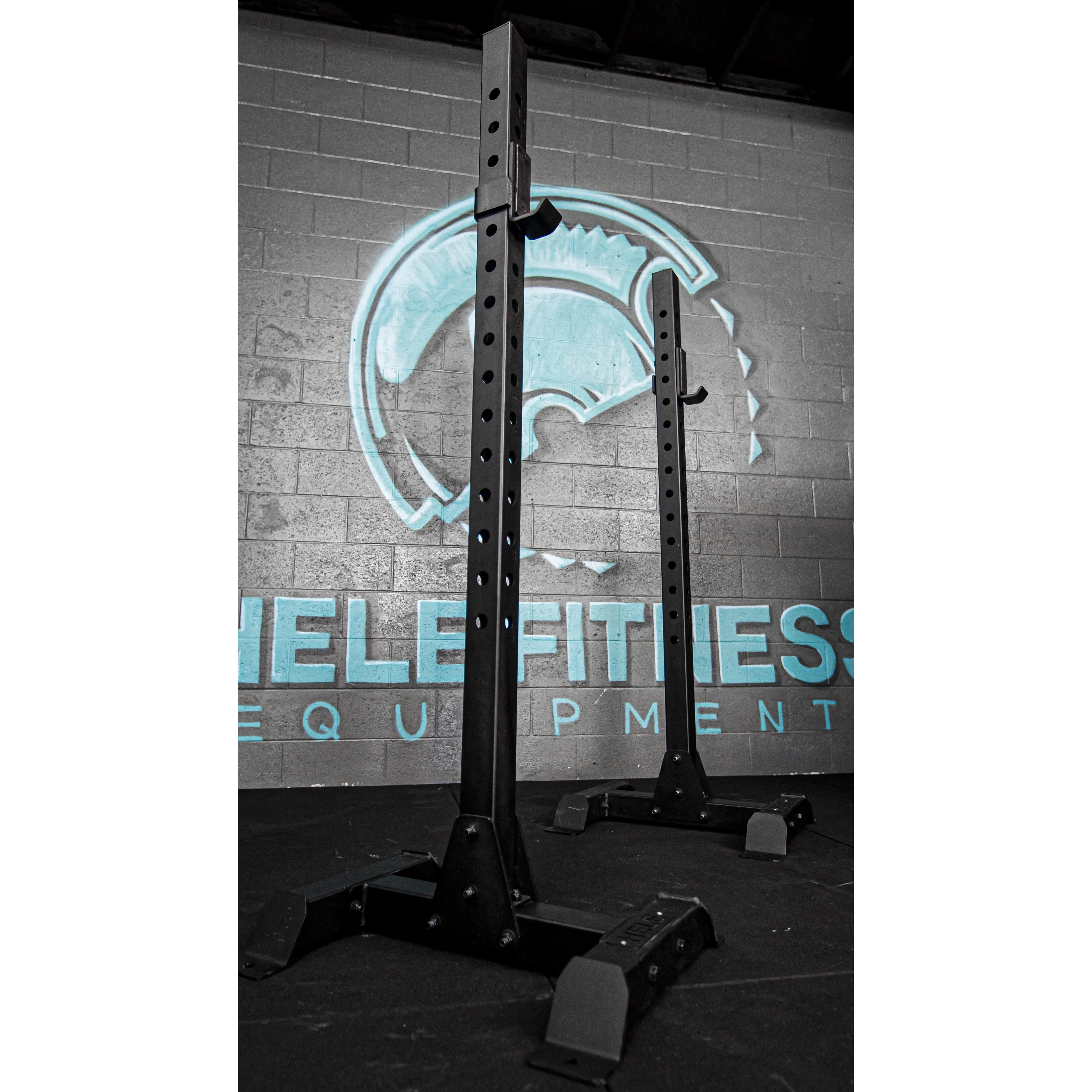 Squat Stands