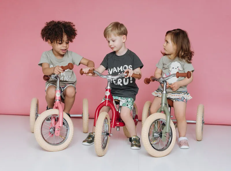 Vintage Trybike - Red